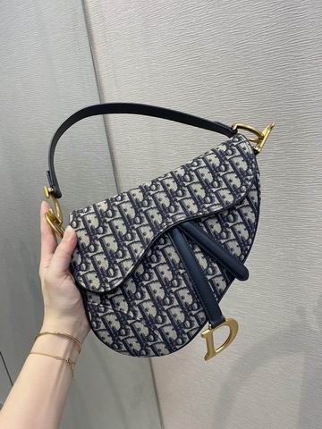 Dior Saddle 25.5cm wz