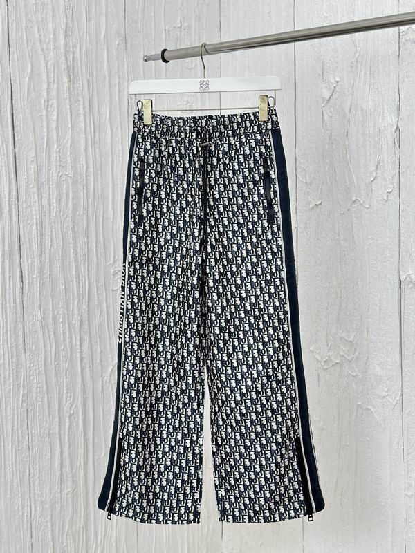 Dior S-L wdtr01