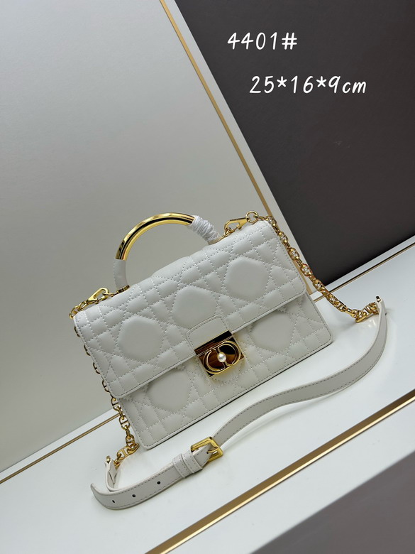 Dior 4401 25x16x9cm jj2