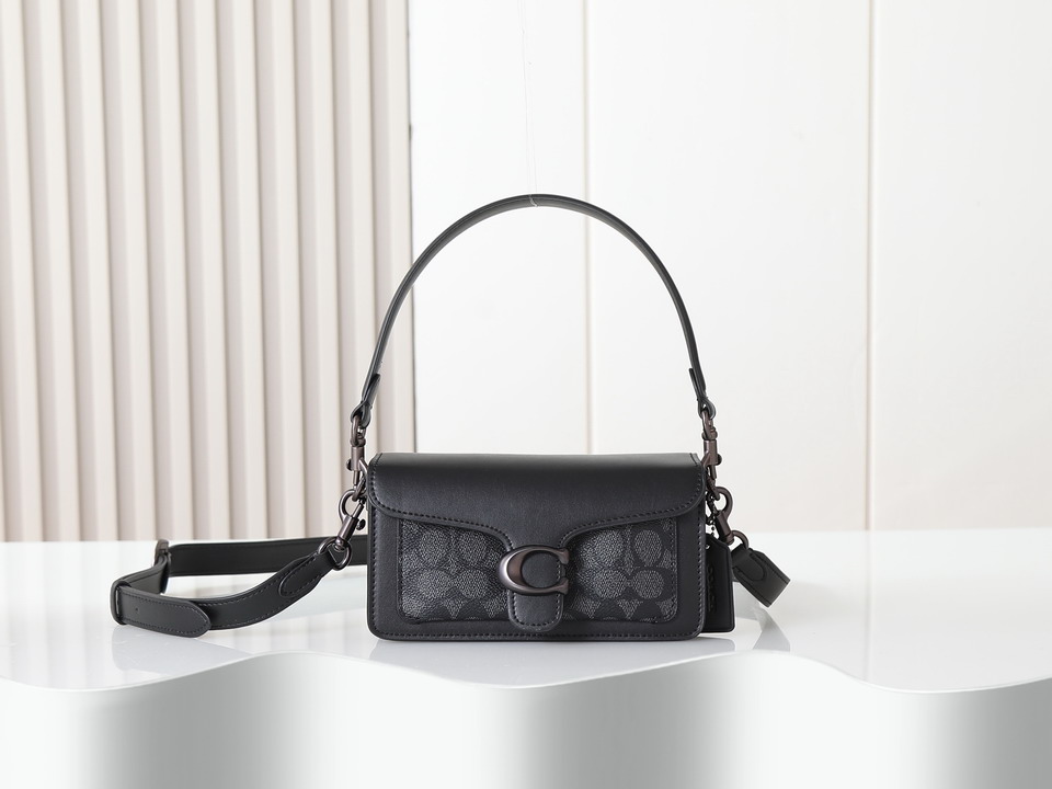 Coach 73995 20x10x6cm ss13