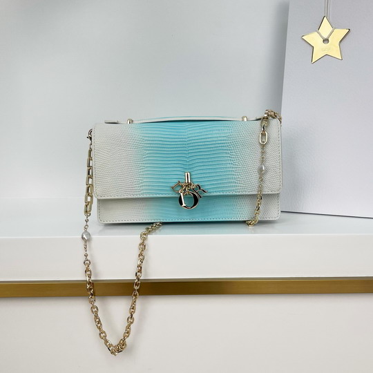 Dior 0980 21x11.5x4.5cm yz5